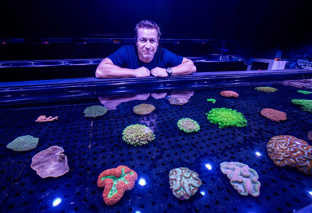 Dr Dean Miller poses with coral samples housed in biobanks