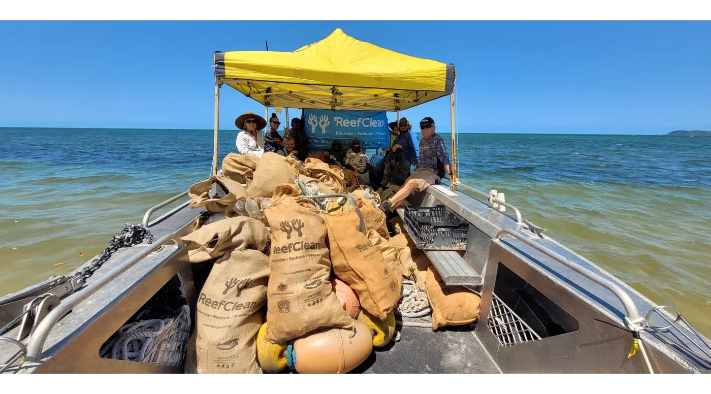 Protect the greater glider: Australia’s flying teddy bear | Australian ...